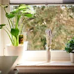 Lichtdurchflutende Wohnoase-kamin-ruhig-kostenloser Parkplatz- 24-7 Self Check-in, Bis Zu 5 Personen, Sehr Geraeumig Appartement Paderborn