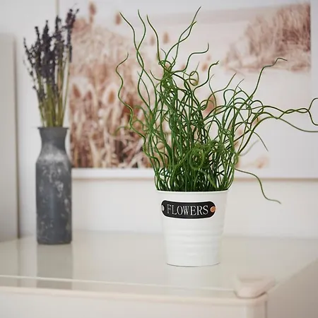 Lichtdurchflutende Wohnoase-stilvoll-ruhig-kostenloser Parkplatz- 24-7 Self Check-in, Bis Zu 5 Personen, Sehr Geraeumig Apartmán