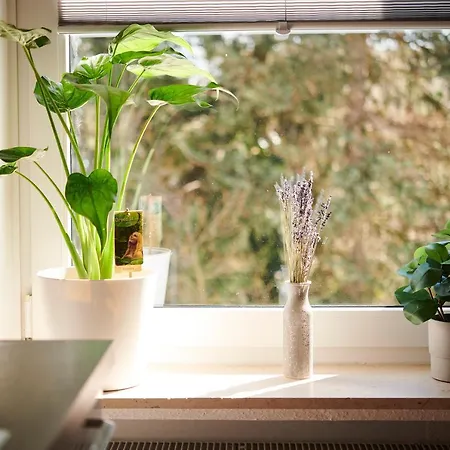 Wohntraumerei: Lichtdurchflutete Design-oase In Ruhiger Stadtlage Apartment Paderborn