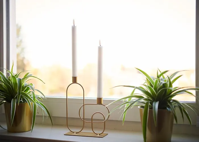 Lichtdurchflutende Wohnoase-stilvoll-ruhig-kostenloser Parkplatz- 24-7 Self Check-in, Bis Zu 5 Personen, Sehr Geraeumig *