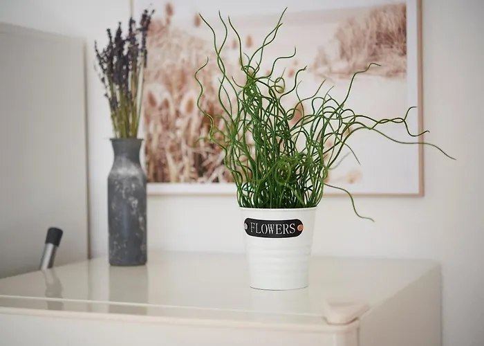 Lichtdurchflutende Wohnoase-stilvoll-ruhig-kostenloser Parkplatz- 24-7 Self Check-in, Bis Zu 5 Personen, Sehr Geraeumig 公寓