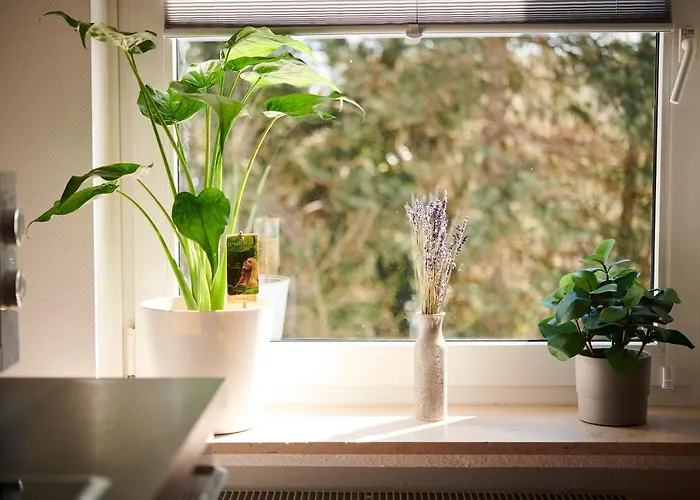 Lichtdurchflutende Wohnoase-stilvoll-ruhig-kostenloser Parkplatz- 24-7 Self Check-in, Bis Zu 5 Personen, Sehr Geraeumig 公寓 帕德博恩